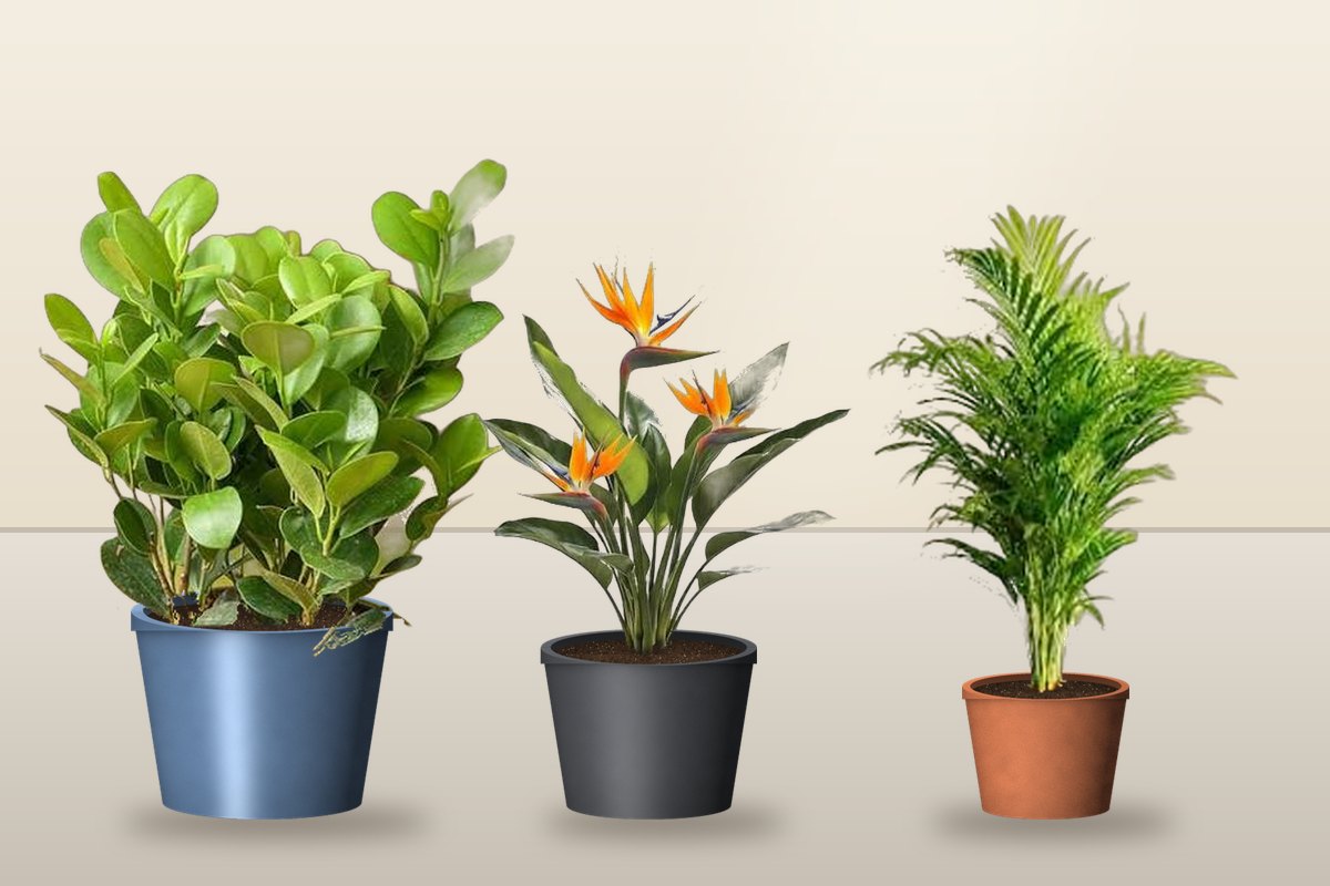 Hotel & Hospitality Landscaping