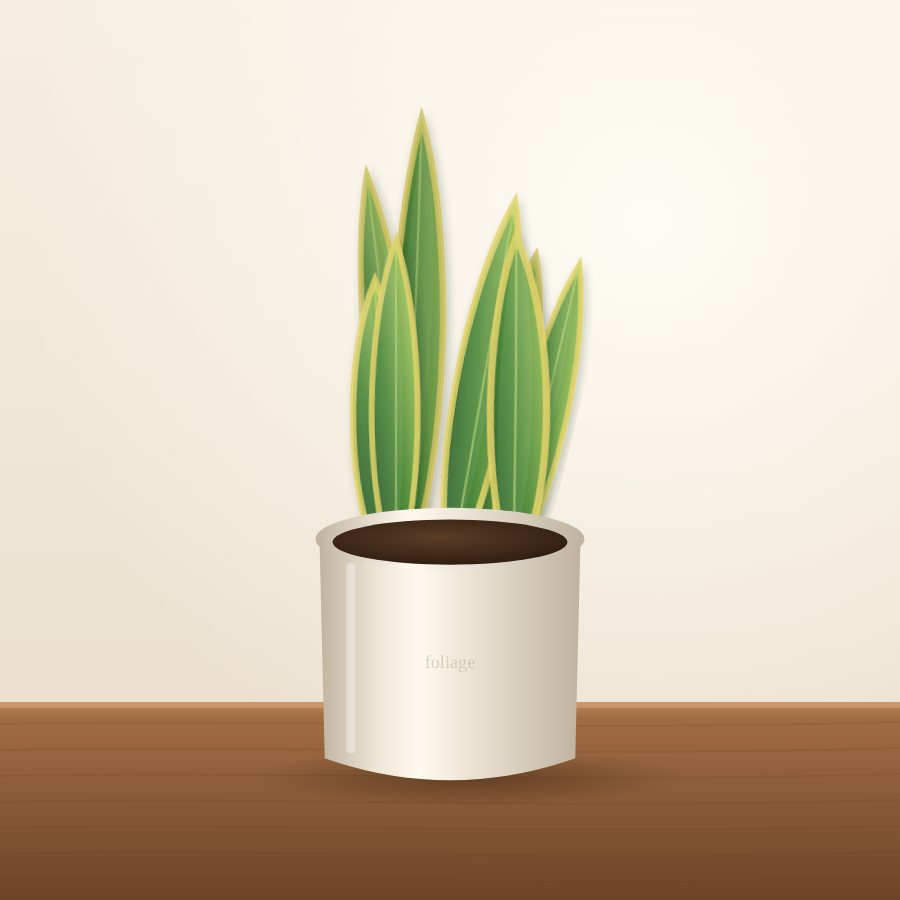 Snake Plant (Sansevieria)