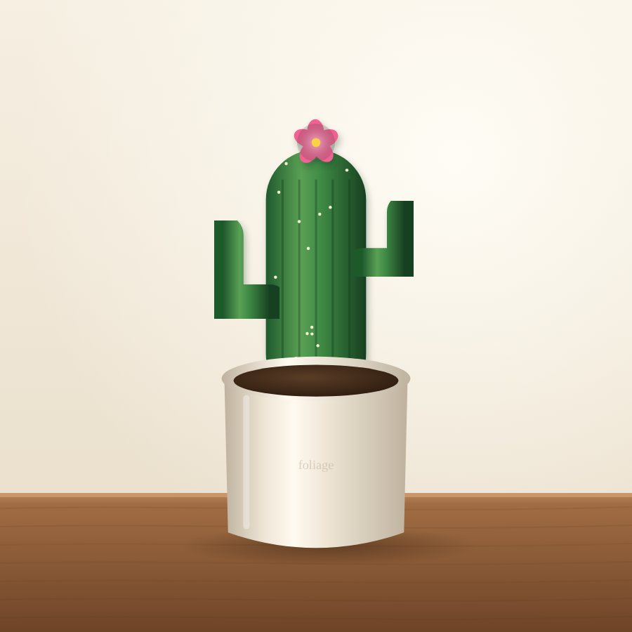 Bunny Ear Cactus