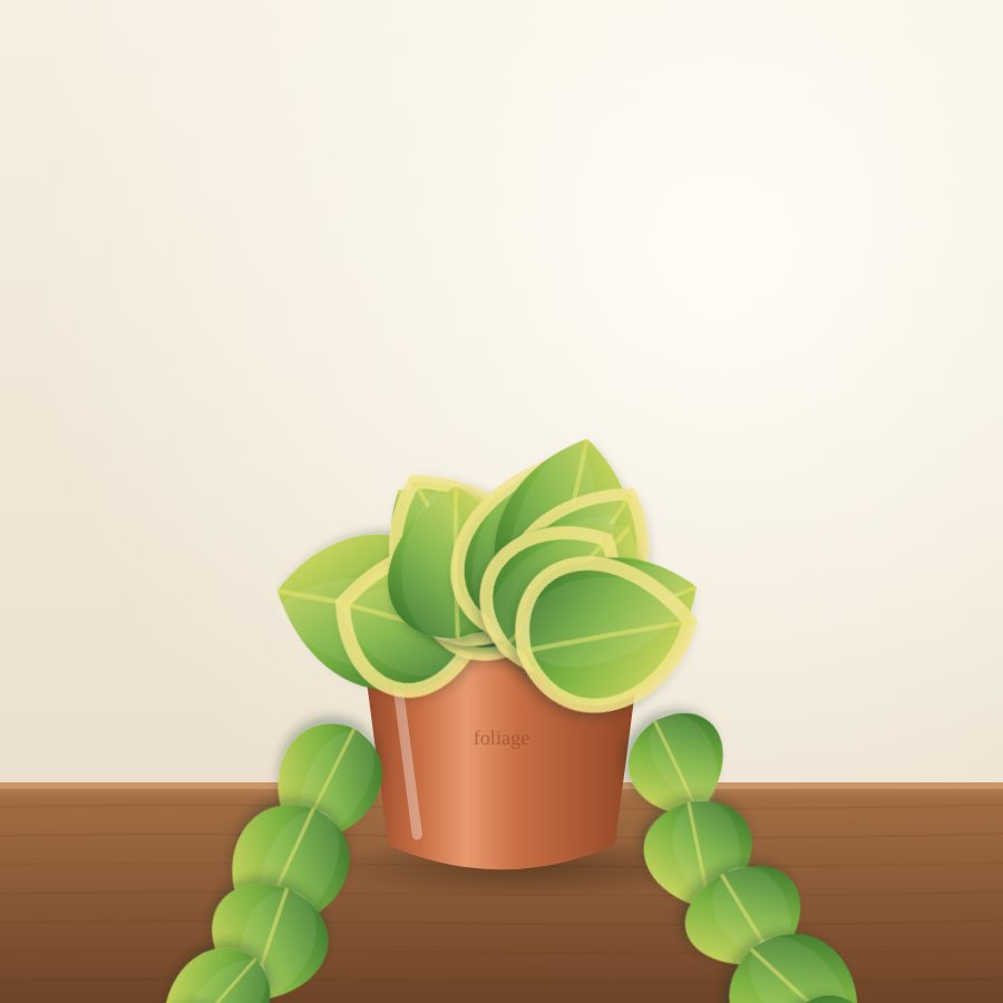 Philodendron Brasil