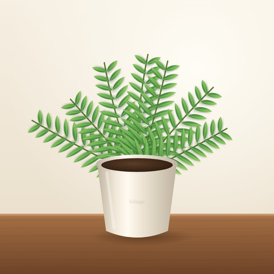Dracaena Marginata