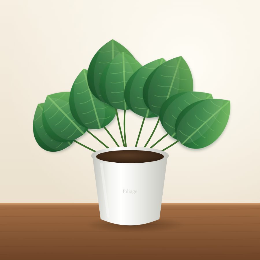 Peperomia Obtusifolia
