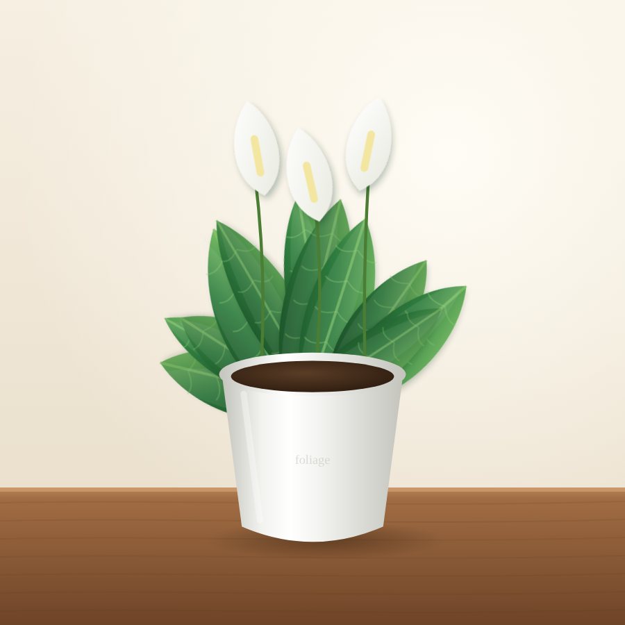 Peace Lily