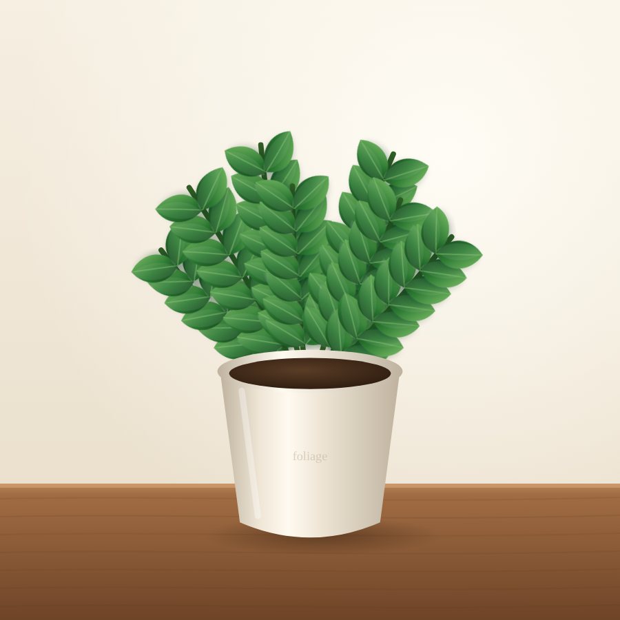 ZZ Plant (Zamioculcas)