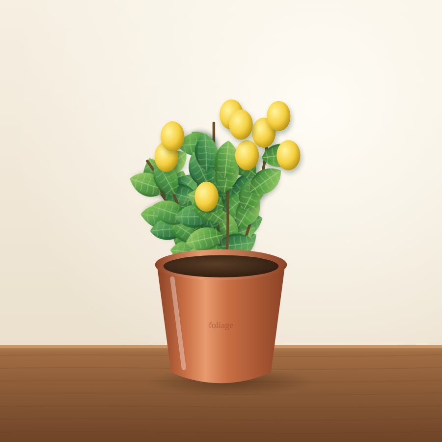 Dragon Fruit Plant