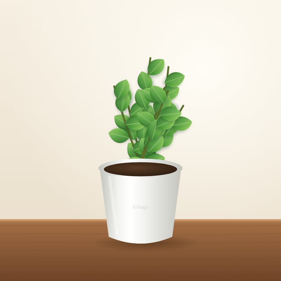 Curry Leaf Plant